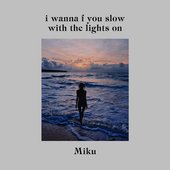 I Wanna F You Slow with the Lights On - Single