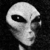 arayenx 的头像