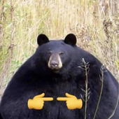niquelcobalto 的头像