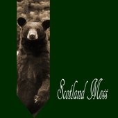 Bears [Single]