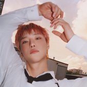 I'll Never Love Again