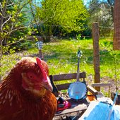 Gardenside Ambient Sessions I