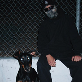 jawnsbigdog