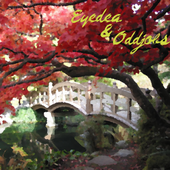 The Whereabouts Of Hidden Bridges (Album Cover)