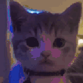 Avatar for Poomx