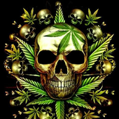 yerba37 的头像
