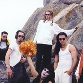 On the rocks