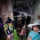 IMG_7911.jpeg