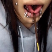 litosx 的头像