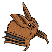 Avatar di Violence242