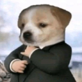 noahcastrololo 的头像