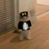 F0rmalT0ast 的头像