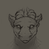 Metadragons 的头像
