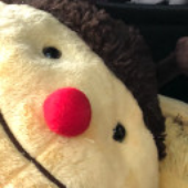 oonuttlet 的头像