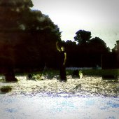 Saved by the Luau: A True Hawaiian's Eulogy