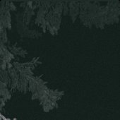 E642AAD8-0F2E-4020-BCFB-D0D689ED4EBD.jpeg