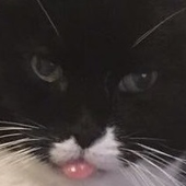 Avatar für Chrz69