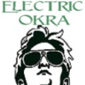 ElectricOkra için avatar