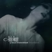 PolarForest