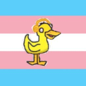 duckatali 的头像