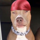 YouTube PFP