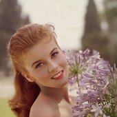 annmargret7.jpg