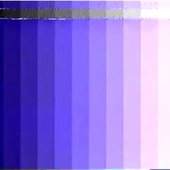19424797_1811042185878727_6626288184357552128_a.jpg