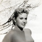 conniestevens14