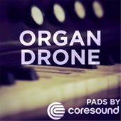 Organ Drone Pads