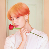 Map of the Soul: Persona