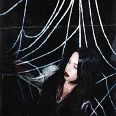 Spiders