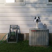 Cowlamp Unplugged