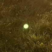 [untitled]