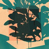 The Garden (Bokah Thom Remix) - Single