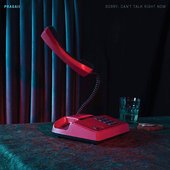 Sorry, Can't Talk Right Now