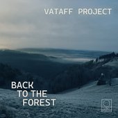 Back to the Forest