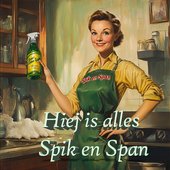Hiej is alles Spik en Span - Single