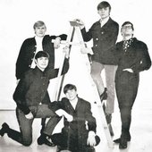 The Mongrels 