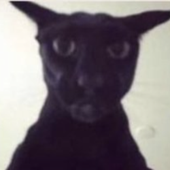 Avatar for DEADMALLZ