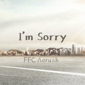 I'm Sorry - Single