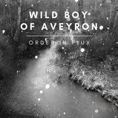 Order in Flux