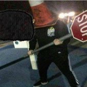 Svlfvr Kvfvr
