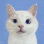 Avatar for sparkly_sea