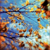 Outside, Elsewhere