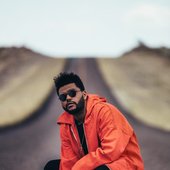 abel