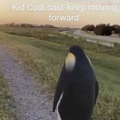 keirfindlay 的头像