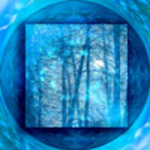 Avatar for blueforest