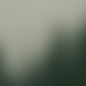 IMG_2832.jpeg