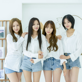 PRIMROSE_new_lineup_profile_photo_(1).png