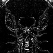 avatars-KRHvjbYuJfbMRm95-rlhNlw-t500x500.jpg